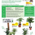 Antevisão Folheto AUCHAN Promoções de 3 a 16 março d16.jpg